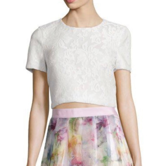 Ted Baker Tops - Ted Baker MAIRE Lace Crop Top
